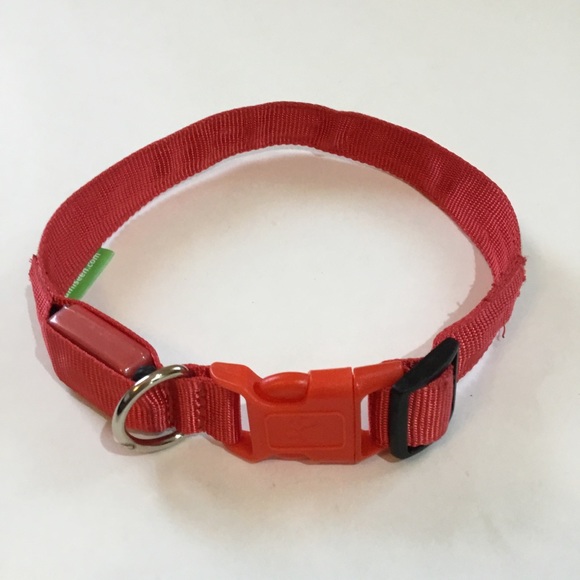 Illumiseen LED dog collar, lights up or flashes, nylon, size M, fits 16” to 20”. - Picture 2 of 8